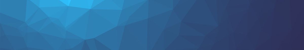 SWIOZ - The Premier Private Instagram Viewer Web Fried